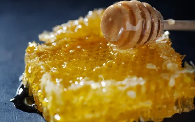 Mengenal Royal Jelly & Manfaatnya untuk Kulit